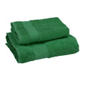 Gabel Set 1+1 Spugna Mille Verde pino